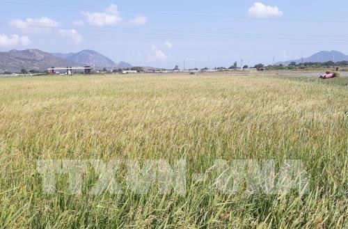 Công ty dược phẩm Mỹ chuyển nhà máy từ Trung Quốc sang Indonesia