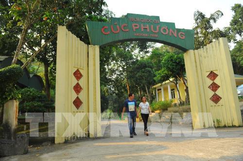 Đẹp ngỡ ngàng mùa bướm rừng Cúc Phương