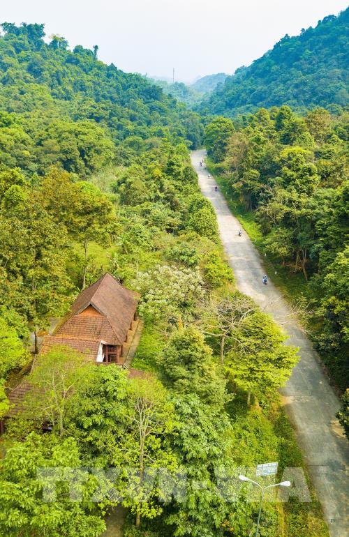 Đẹp ngỡ ngàng mùa bướm rừng Cúc Phương