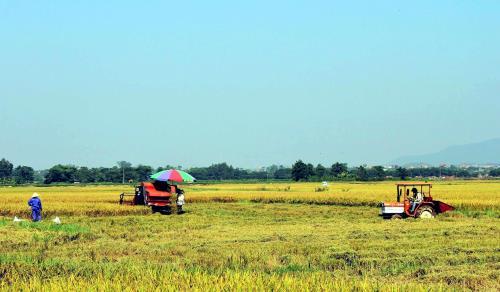 Tạo không gian để cơ giới hóa đồng bộ trong sản xuất nông nghiệp