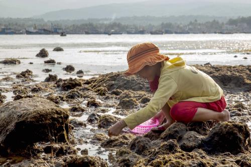 Săn ốc ở Vịnh Xuân Đài