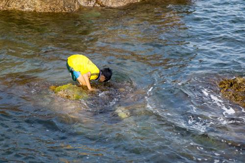 Săn ốc ở Vịnh Xuân Đài