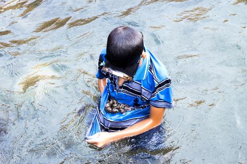 Săn ốc ở Vịnh Xuân Đài