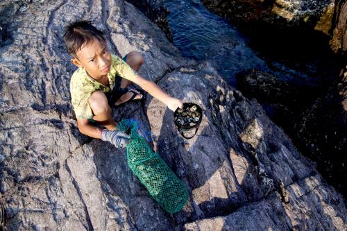 Săn ốc ở Vịnh Xuân Đài