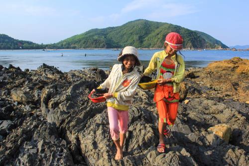 Săn ốc ở Vịnh Xuân Đài