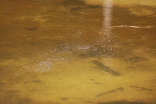 Suối nước nóng Hội Vân, báu vật của thiên nhiên