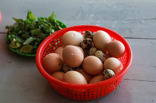 Suối nước nóng Hội Vân, báu vật của thiên nhiên