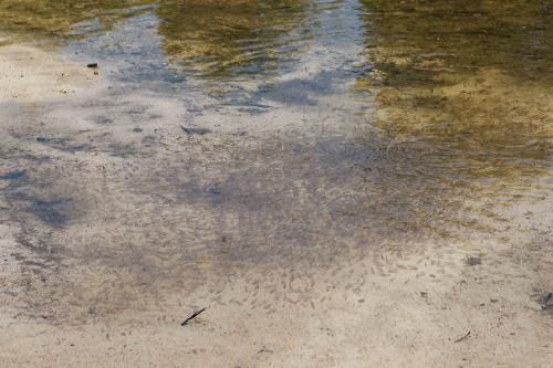 Suối nước nóng Hội Vân, báu vật của thiên nhiên