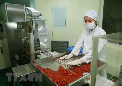 Dược phẩm Trung ương 3 sắp trả cổ tức tỷ lệ 80% bằng tiền mặt