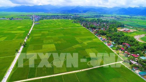 65 năm Chiến thắng Điện Biên Phủ