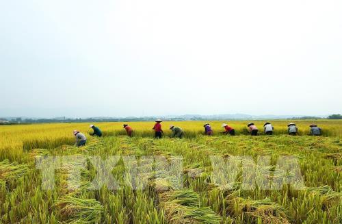 65 năm Chiến thắng Điện Biên Phủ