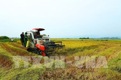 65 năm Chiến thắng Điện Biên Phủ