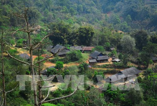 65 năm Chiến thắng Điện Biên Phủ