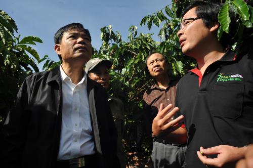 Nestlé Việt Nam thu mua 20-25% tổng sản lượng cà phê của Việt Nam