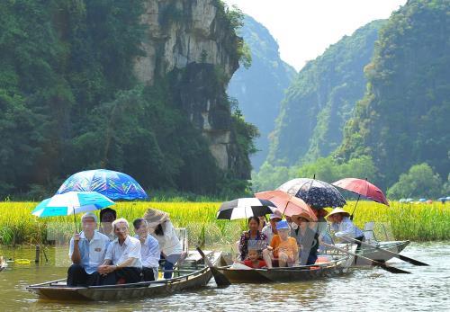 Mùa vàng Tam Cốc đẹp nao lòng