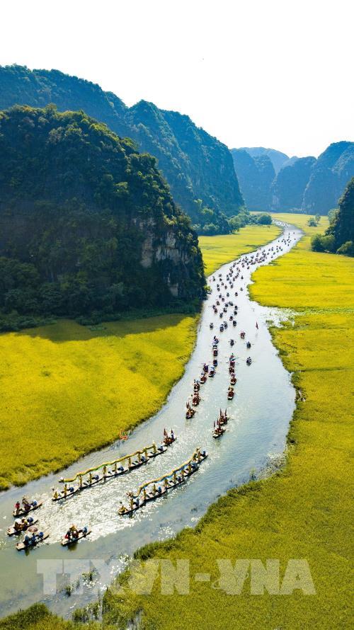 Mùa vàng Tam Cốc đẹp nao lòng