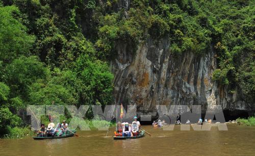 Mùa vàng Tam Cốc đẹp nao lòng
