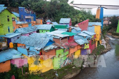 Ngắm ngôi làng cầu vồng rực rỡ sắc màu ở Indonesia