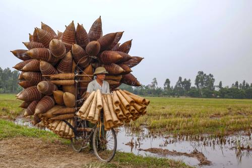 Nghề làm bẫy bắt tôm
