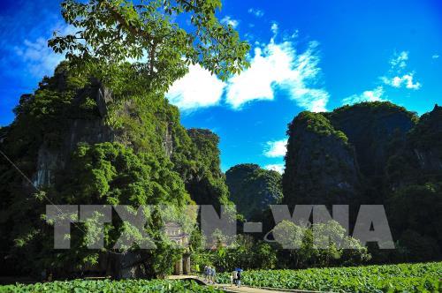 Mùa sen ở chùa Bích Động (Ninh Bình) - vẻ đẹp khó cưỡng