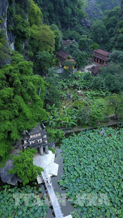 Mùa sen ở chùa Bích Động (Ninh Bình) - vẻ đẹp khó cưỡng