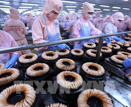 Thương vụ Việt Nam, địa điểm kết nối hợp tác kinh tế giữa Việt Nam và Bỉ