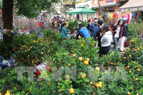 Hà Nội - “Thành phố vì hòa bình” 