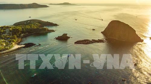 Ngắm san hô biển tuyệt đẹp ở Hòn Yến