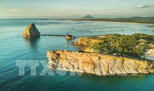 Ngắm san hô biển tuyệt đẹp ở Hòn Yến