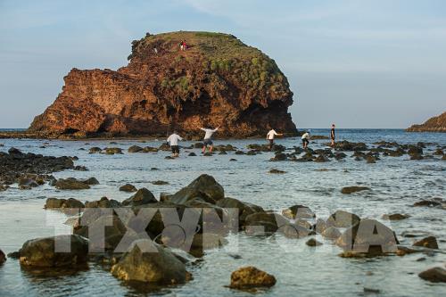 Ngắm san hô biển tuyệt đẹp ở Hòn Yến