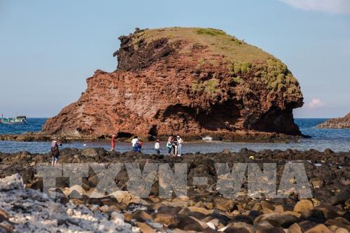 Ngắm san hô biển tuyệt đẹp ở Hòn Yến