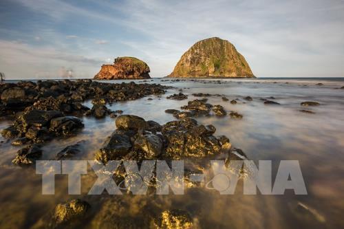 Ngắm san hô biển tuyệt đẹp ở Hòn Yến