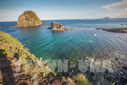 Ngắm san hô biển tuyệt đẹp ở Hòn Yến