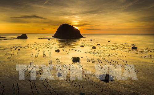 Ngắm san hô biển tuyệt đẹp ở Hòn Yến