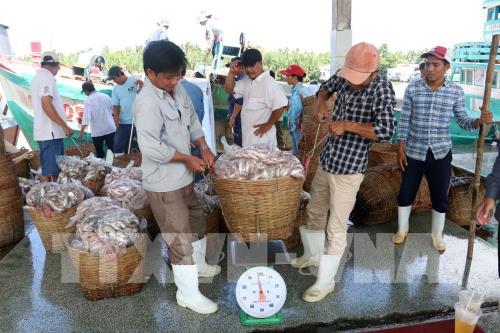 EC sẽ kiểm tra trực tiếp về việc Việt Nam tuân thủ quy định IUU vào quý I/2022