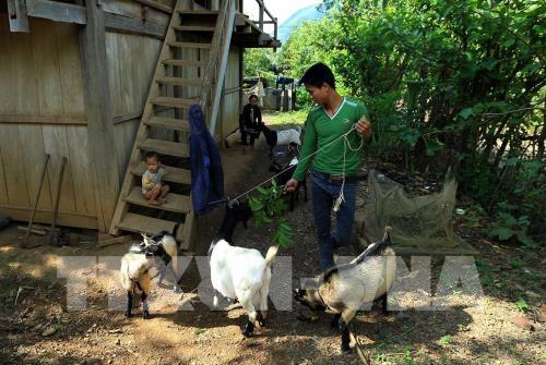 Nét truyền thống của đồng bào dân tộc Dao nơi ngã 3 sông Đà