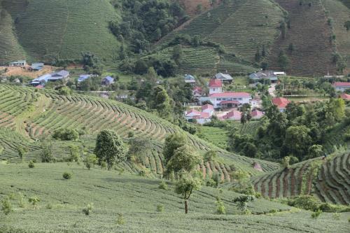 Đồng hành cùng hơn 1.300 hộ dân thoát nghèo