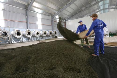 Đồng hành cùng hơn 1.300 hộ dân thoát nghèo