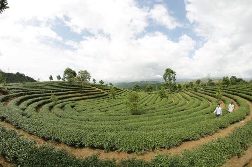 Đồng hành cùng hơn 1.300 hộ dân thoát nghèo