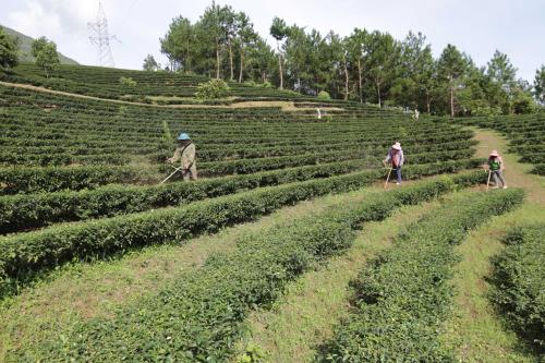 Đồng hành cùng hơn 1.300 hộ dân thoát nghèo