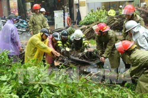 Ảnh hưởng bão số 3, nhiều cây xanh bị "quật đổ" ở Hà Nội