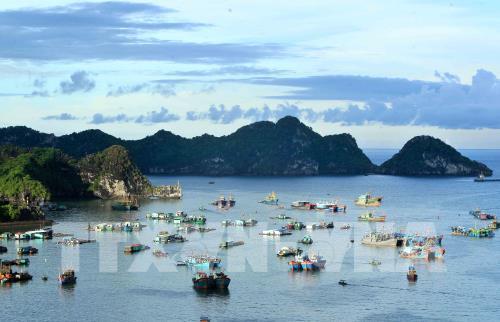 Cát Bà - Hòn "đảo ngọc" miền Bắc