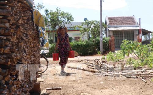 Hạn hán nghiêm trọng làm hơn 10.000 hộ dân Phú Yên thiếu nước sinh hoạt 