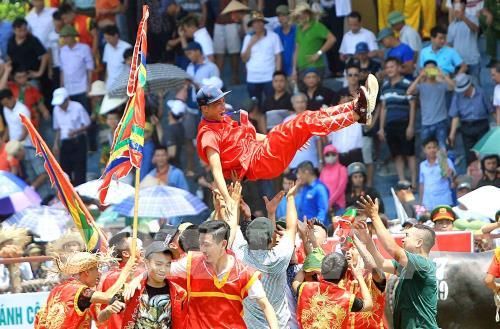 Lễ hội chọi trâu Đồ Sơn năm 2019