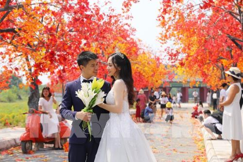 Giới trẻ Hà Nội háo hức với con đường phong lá đỏ như ở Hàn Quốc