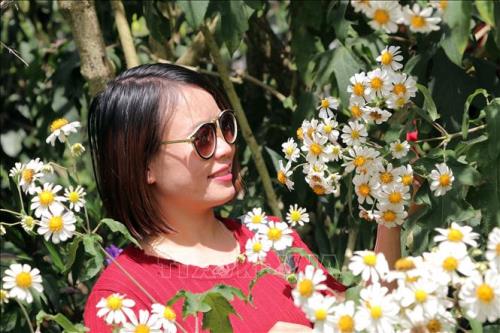 Rộn ràng sắc hoa dã quỳ ở Đà Lạt