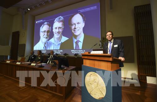 Giá trị giải thưởng Nobel năm 2020 sẽ cao hơn năm ngoái