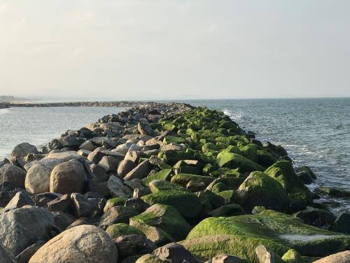 Đẹp ngỡ ngàng kè biển Đà Diễn