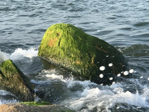 Đẹp ngỡ ngàng kè biển Đà Diễn