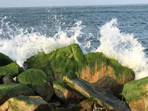 Đẹp ngỡ ngàng kè biển Đà Diễn